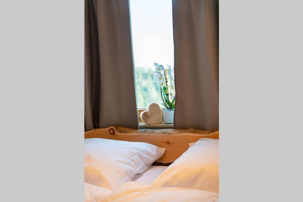 Appartement Bergsonne Sankt Märgen エクステリア 写真